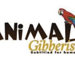 Animal Giberish