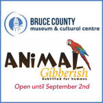 Bruce County Museum
