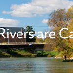 Screen Shot 2018-05-23 at 3.56.12 PM