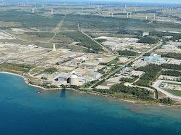 Bruce C project report points to significant economic opportunity