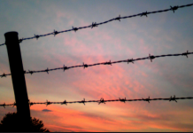 New Perspectives: A Senior Moment – “American Dirt”
