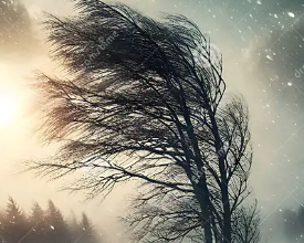 Kincardine update: Cancellations due to weather