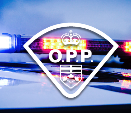 OPP: Caledon Disinformation video originated in U.S.
