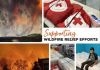 Bruce Power and supplier partners to match up to $100,000 in donations for wildfire relief efforts